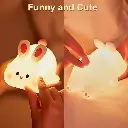 rabbit6.webp