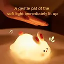 rabbit3.webp